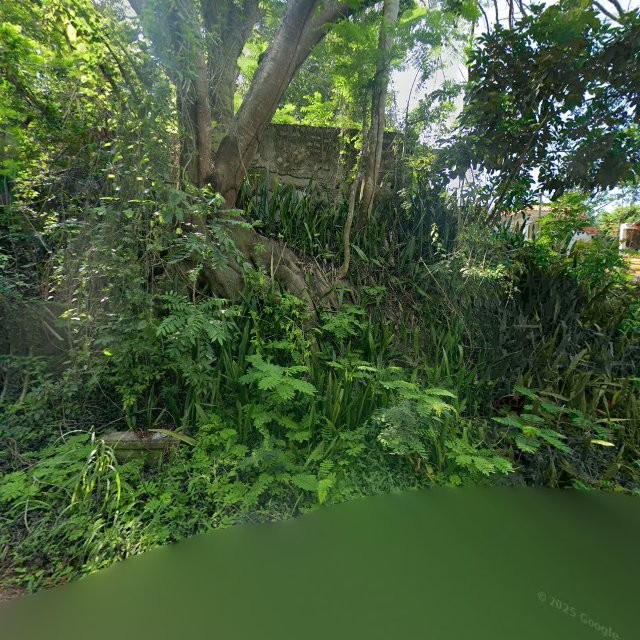 Reporte ciudadano de estorbo público en 32VC+VGG Sabana Grande, Puerto Rico, Sabana Grande