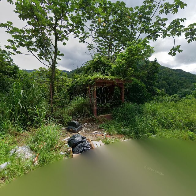 Reporte ciudadano de estorbo público en 35X7+RWR Diego Hernández, Yauco, Puerto Rico, Yauco