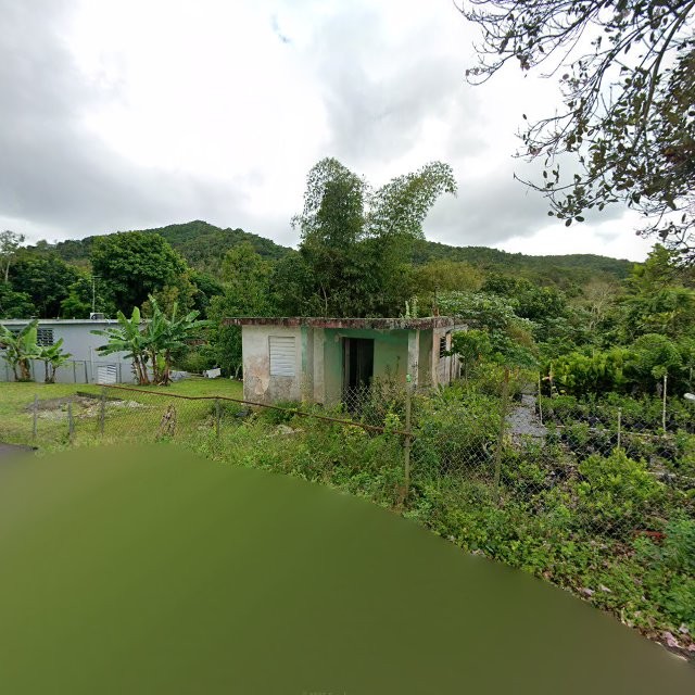 Reporte ciudadano de estorbo público en 4P7R+CJV Pastos, Aibonito, Puerto Rico, Aibonito