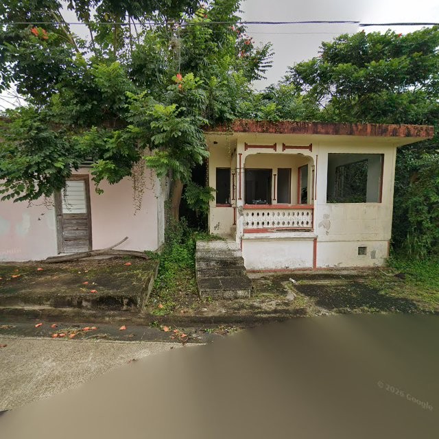 Reporte ciudadano de estorbo público en 4R9M+573 Cayey, Puerto Rico, Cayey
