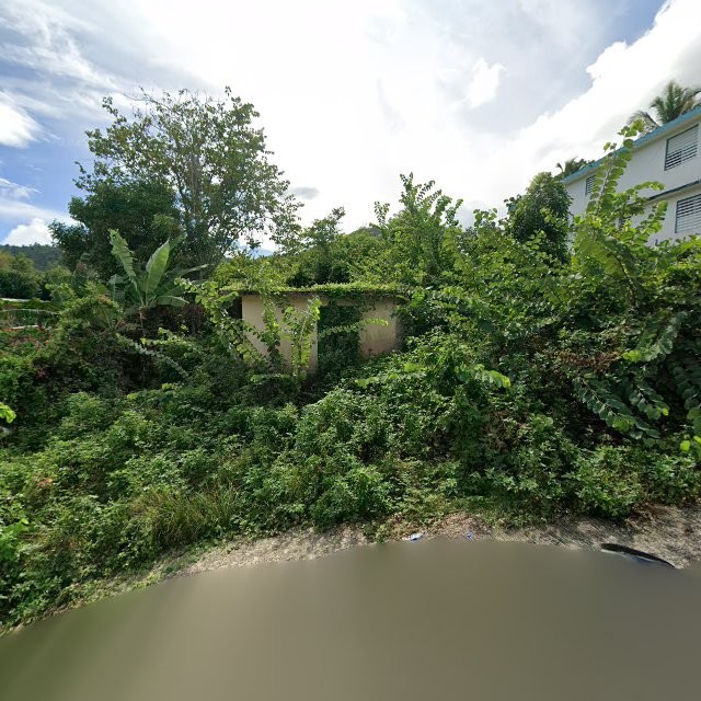 Reporte ciudadano de estorbo público en 4R29+CQC Cayey, Puerto Rico, Cayey