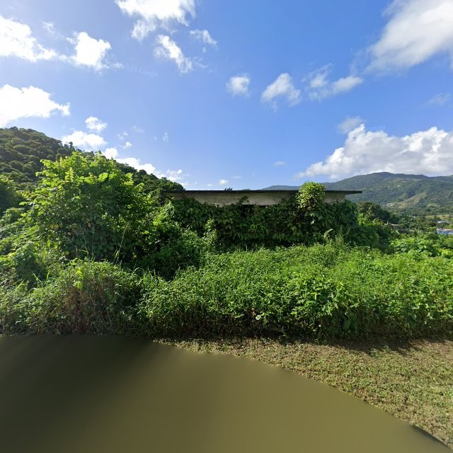 Reporte ciudadano de estorbo público en 426C+762 San Lorenzo, Puerto Rico, San Lorenzo