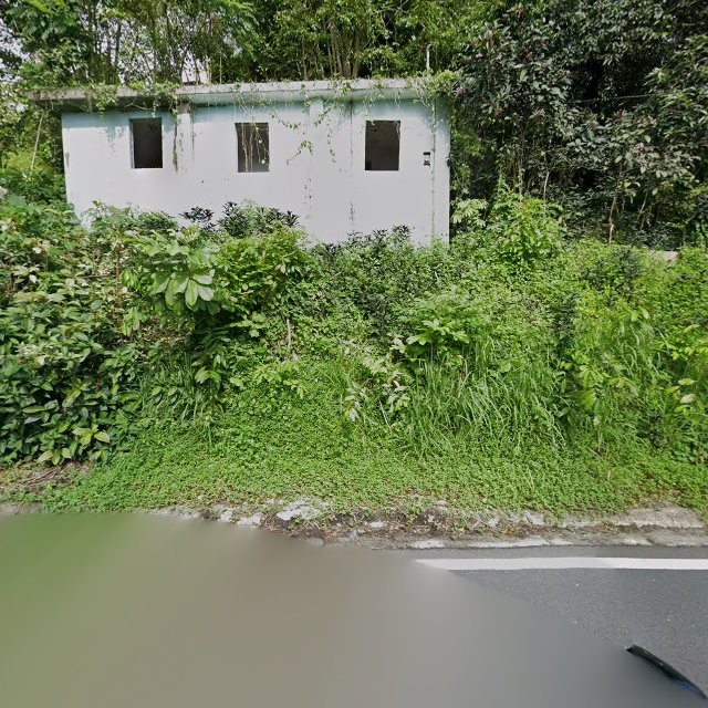 Reporte ciudadano de estorbo público en 4275+5Q4 Jagual, San Lorenzo, Puerto Rico, San Lorenzo