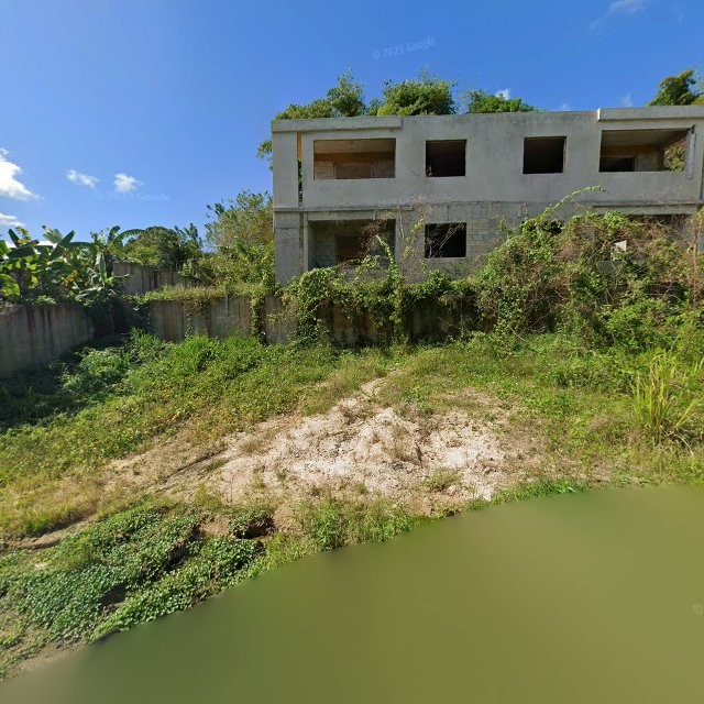 Reporte ciudadano de estorbo público en 456R+PF9 Buena Vista, Humacao, Puerto Rico, Humacao