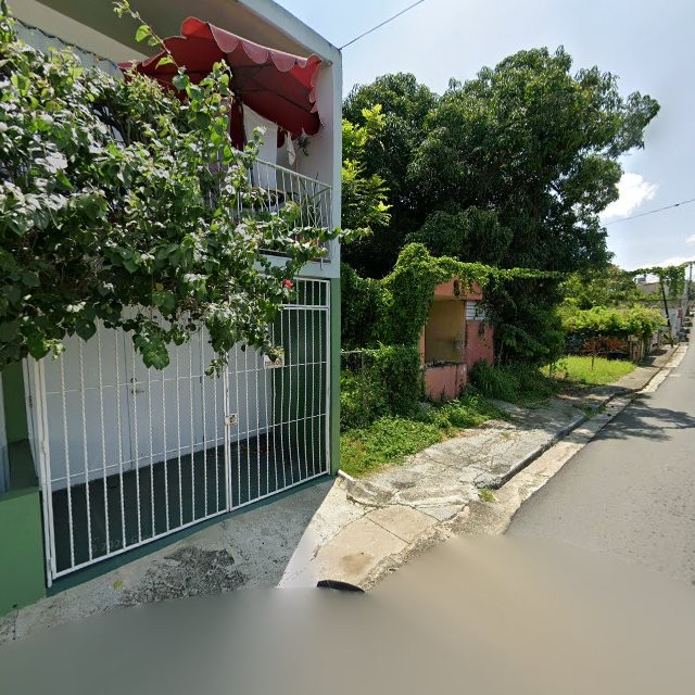 Reporte ciudadano de estorbo público en 32JQ+MQ9 Sabana Grande, Puerto Rico, Sabana Grande