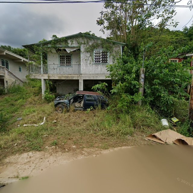 Reporte ciudadano de estorbo público en 3863+RFC Tallaboa Alta, Peñuelas, Puerto Rico, Peñuelas