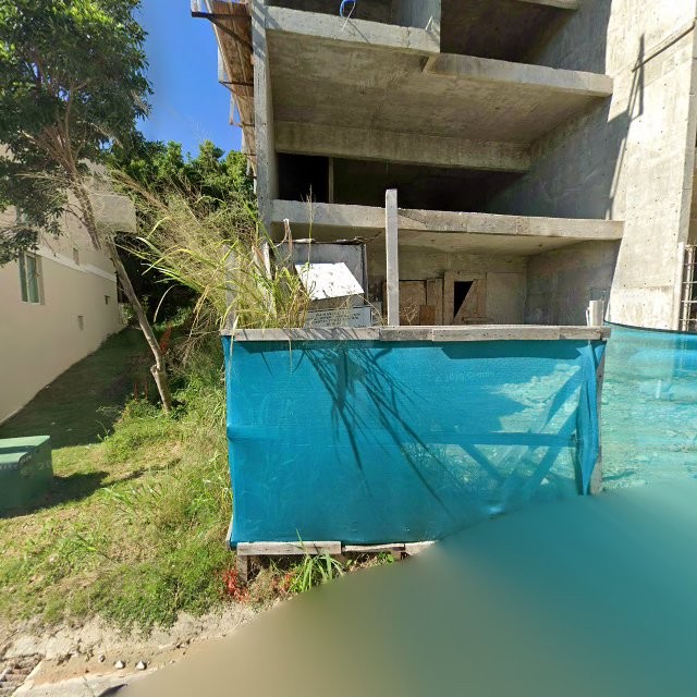 Reporte ciudadano de estorbo público en 36C2+VF3 Palmas del Mar, Humacao, Puerto Rico, Humacao