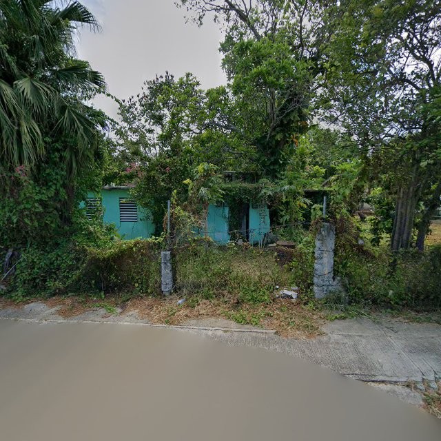Reporte ciudadano de estorbo público en 23V5+J5R Liborio Negrón Torres, Sabana Grande, Puerto Rico, Sabana Grande