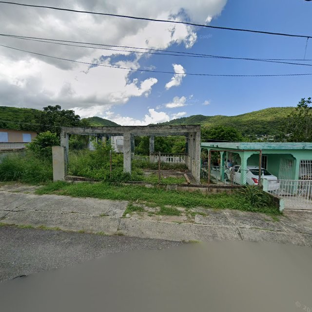 Reporte ciudadano de estorbo público en 26V2+952 Guayanilla, Puerto Rico, Guayanilla