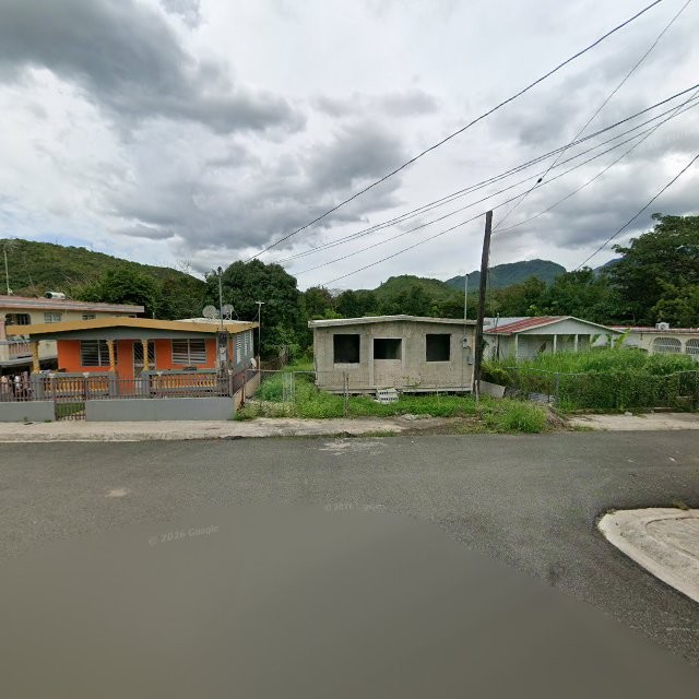 Reporte ciudadano de estorbo público en 373J+HFR Peñuelas, Puerto Rico, Peñuelas