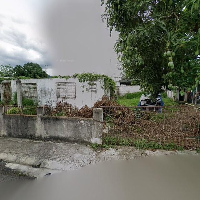 Reporte ciudadano de estorbo público en 373J+5PG Peñuelas, Puerto Rico, Peñuelas