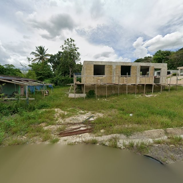 Reporte ciudadano de estorbo público en 372P+QFQ Peñuelas, Puerto Rico, Peñuelas
