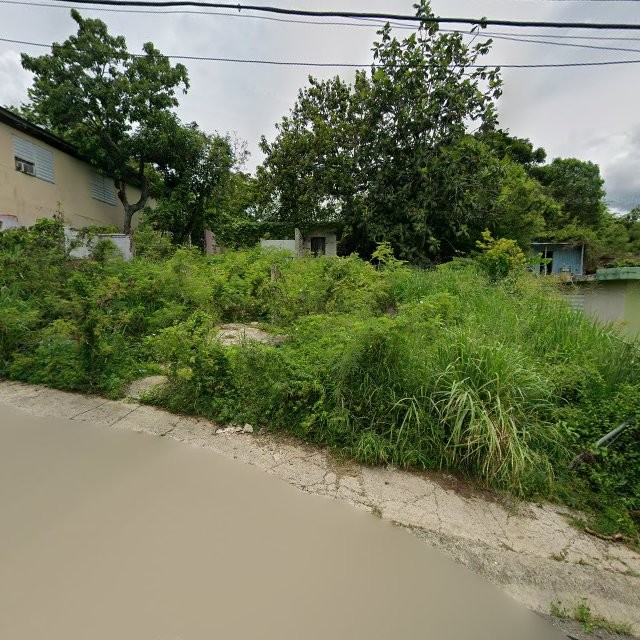 Reporte ciudadano de estorbo público en 373R+PMX Tallaboa Alta, Peñuelas, Puerto Rico, Peñuelas