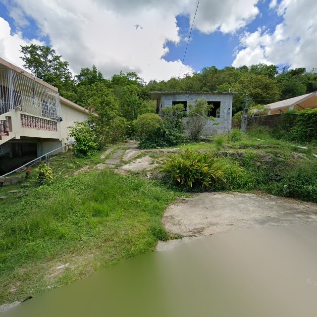 Reporte ciudadano de estorbo público en 28R8+CG7 Quebrada del Agua, Ponce, Puerto Rico, Peñuelas