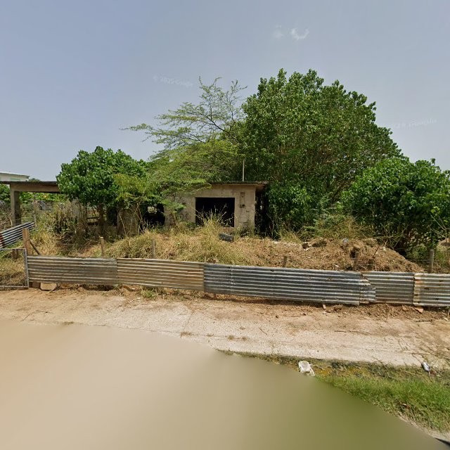 Reporte ciudadano de estorbo público en 2W77+PVJ Maguayo, Lajas, Puerto Rico, Lajas