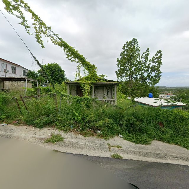 Reporte ciudadano de estorbo público en 256W+3QX Indios, Guayanilla, Puerto Rico, Guayanilla