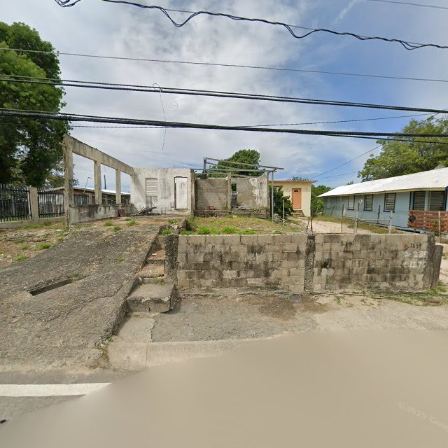 Reporte ciudadano de estorbo público en X7XH+F7R Tallaboa, Peñuelas, Puerto Rico, Peñuelas