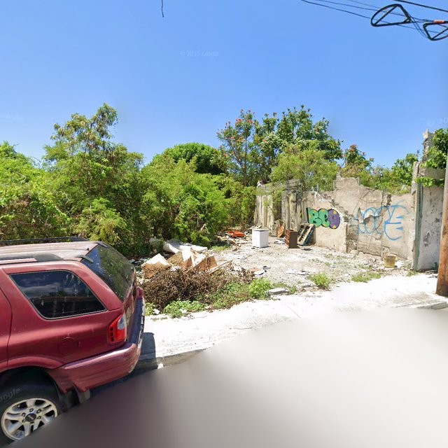 Reporte ciudadano de estorbo público en 297H+73G Ponce, Puerto Rico, Ponce