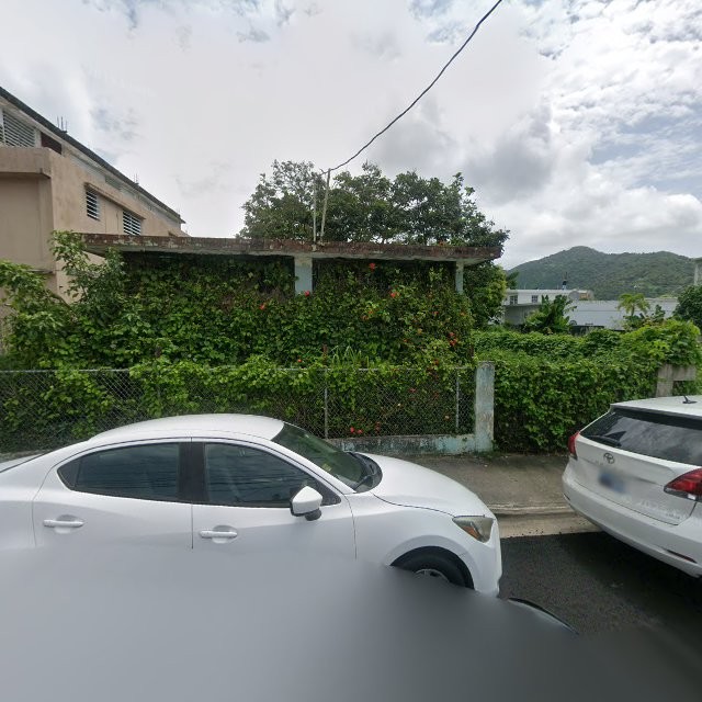 Reporte ciudadano de estorbo público en 235X+2C9 Maunabo, Puerto Rico, Maunabo