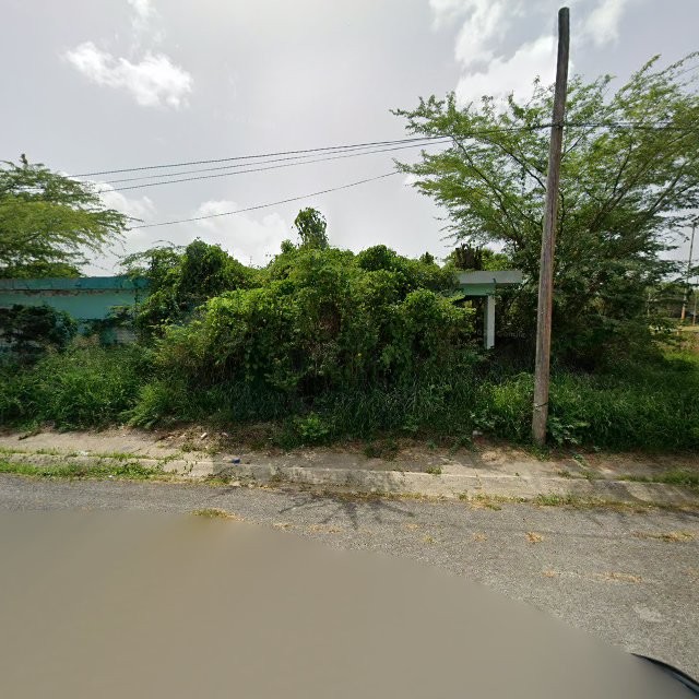 Reporte ciudadano de estorbo público en X2G4+9HQ La Parguera, Lajas, Puerto Rico, Lajas