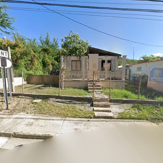 Reporte ciudadano de estorbo público en X397+663 Guánica, Puerto Rico, Guánica