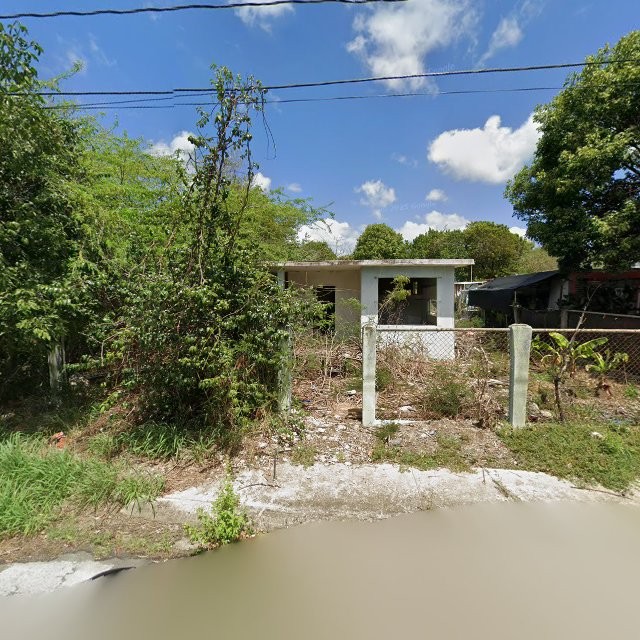 Reporte ciudadano de estorbo público en XQHC+5P9 Coquí, Salinas, Puerto Rico, Salinas