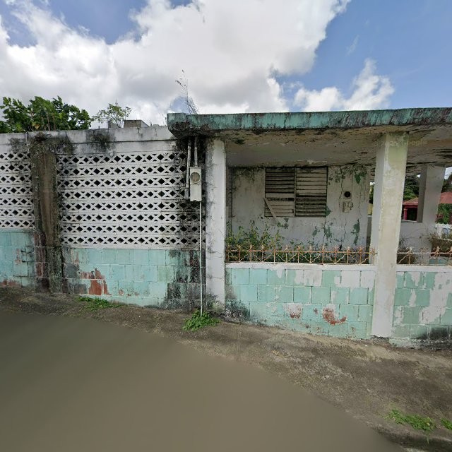 Reporte ciudadano de estorbo público en XVQQ+57G Guayama, Puerto Rico, Guayama