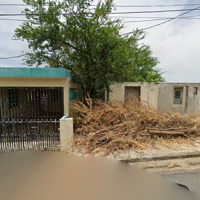 Reporte ciudadano de estorbo público en XR38+32W Jobos, Guayama, Puerto Rico, Guayama