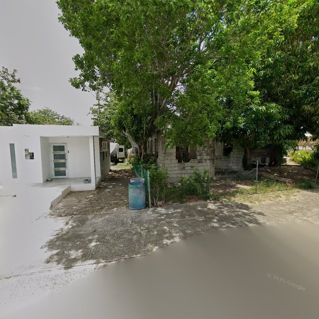 Reporte ciudadano de estorbo público en XR29+PQQ Jobos, Guayama, Puerto Rico, Guayama