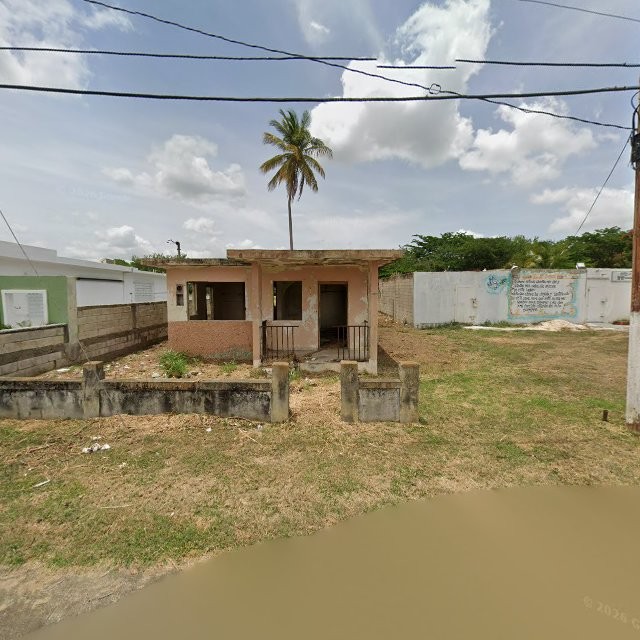 Foto de reporte ciudadano en Guayama