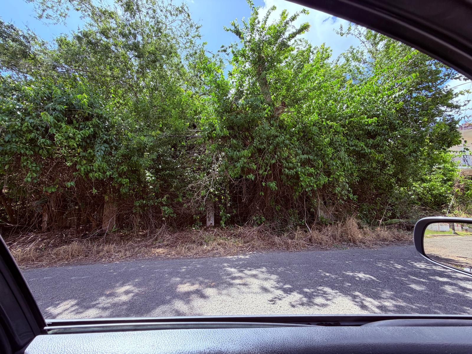 Foto de reporte ciudadano en Cabo Rojo